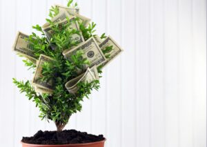 Renda passiva: O que é e como construir a sua?